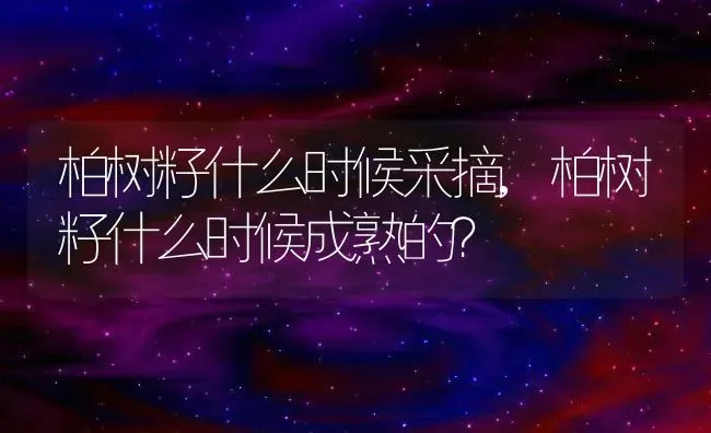 柏树籽什么时候采摘,柏树籽什么时候成熟的？ | 养殖常见问题