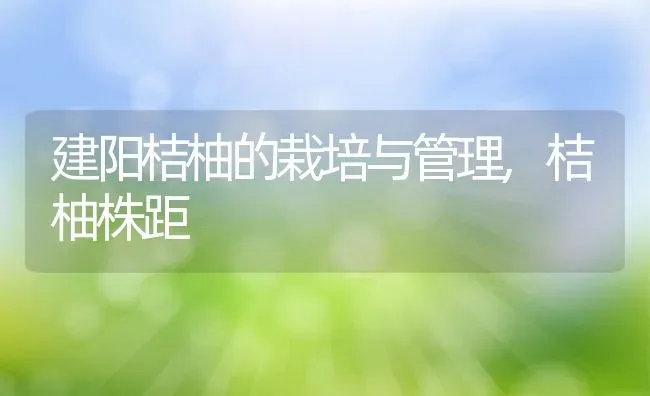 建阳桔柚的栽培与管理,桔柚株距 | 养殖常见问题