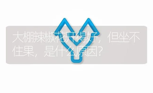 大棚辣椒花开得好,但坐不住果,是什么原因? | 养殖问题解答