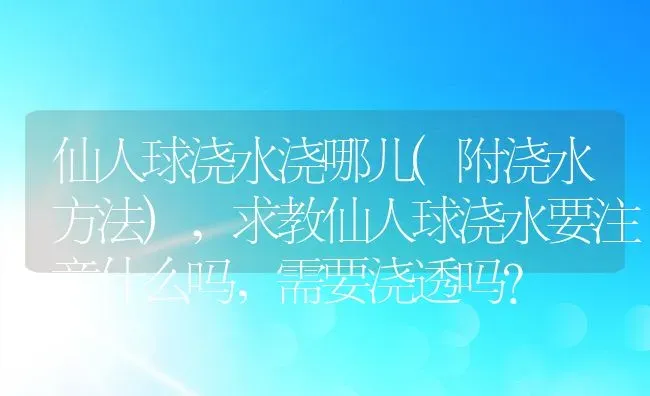 仙人球浇水浇哪儿(附浇水方法),求教仙人球浇水要注意什么吗，需要浇透吗？ | 养殖常见问题