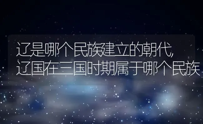 辽是哪个民族建立的朝代,辽国在三国时期属于哪个民族 | 养殖常见问题