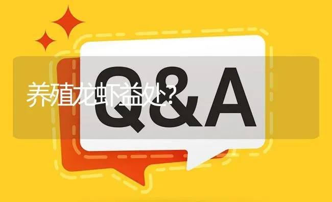 养殖龙虾益处? | 养殖问题解答