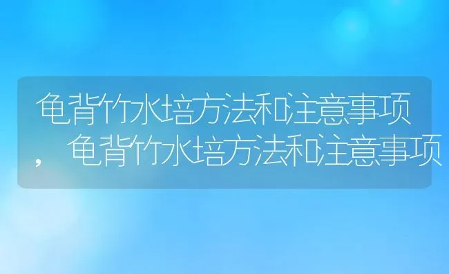 龟背竹水培方法和注意事项,龟背竹水培方法和注意事项 | 养殖常见问题