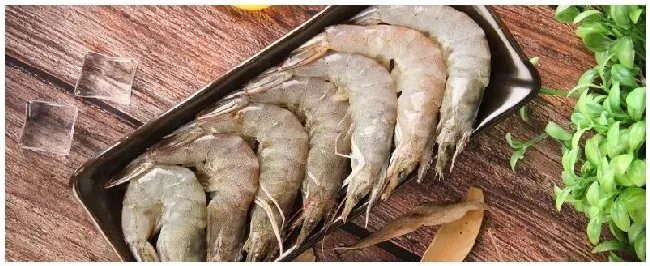 南美白对虾和青虾区别 | 农业常识