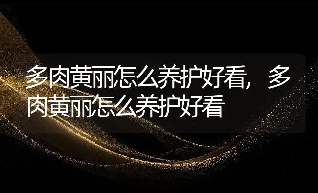 多肉黄丽怎么养护好看,多肉黄丽怎么养护好看 | 养殖常见问题