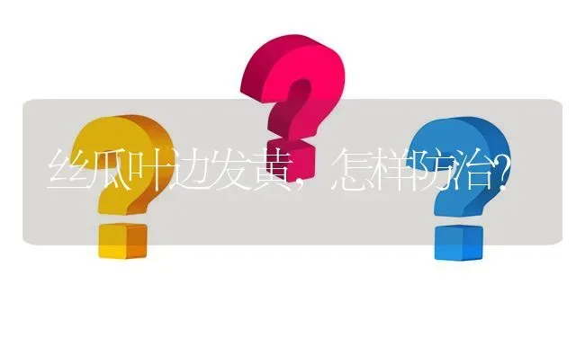 丝瓜叶边发黄,怎样防治? | 养殖问题解答