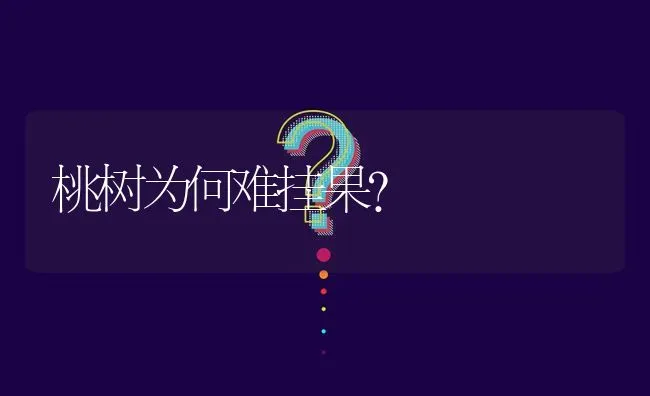 桃树为何难挂果? | 养殖问题解答