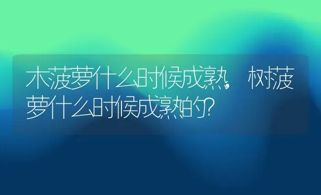 木菠萝什么时候成熟,树菠萝什么时候成熟的？ | 养殖常见问题