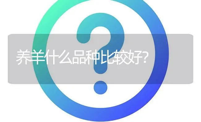 养羊什么品种比较好? | 养殖问题解答