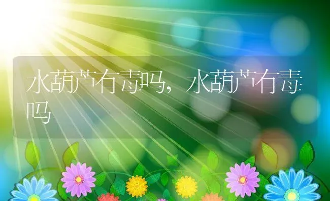 水葫芦有毒吗,水葫芦有毒吗 | 养殖常见问题