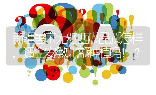 新疆暑宝无籽西瓜品质怎样,适合安徽北部种植吗！? | 养殖问题解答