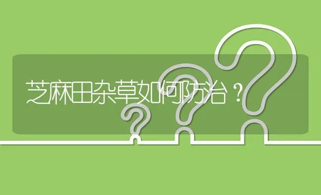 芝麻田杂草如何防治? | 养殖问题解答