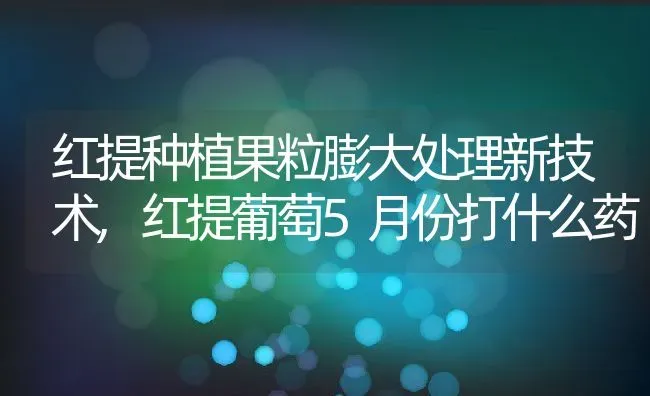 红提种植果粒膨大处理新技术,红提葡萄5月份打什么药 | 养殖常见问题