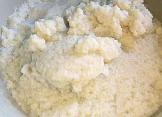 植物常识问题|豆渣如何养月季  具体养护方法