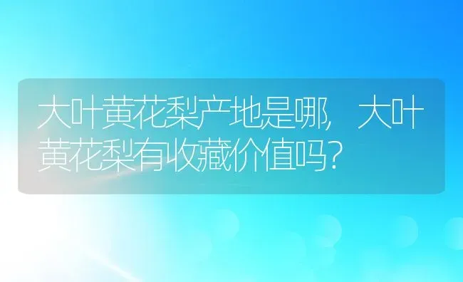 大叶黄花梨产地是哪,大叶黄花梨有收藏价值吗？ | 养殖常见问题