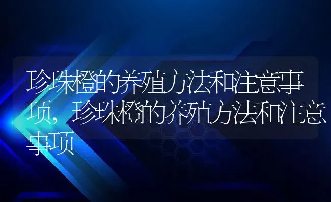 珍珠橙的养殖方法和注意事项,珍珠橙的养殖方法和注意事项 | 养殖常见问题