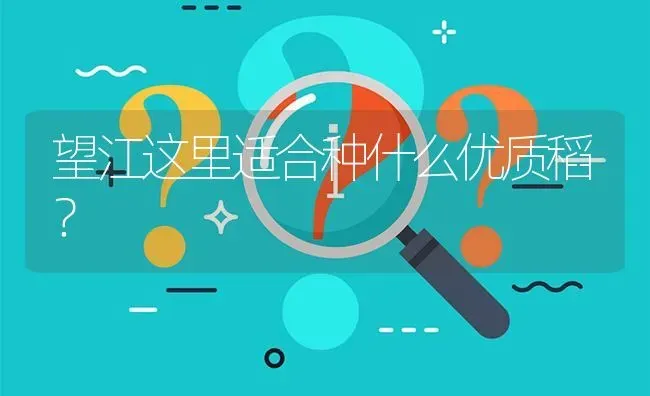 望江这里适合种什么优质稻? | 养殖问题解答