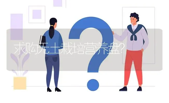 求购无土栽培营养盘? | 养殖问题解答