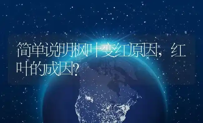 简单说明枫叶变红原因,红叶的成因？ | 养殖常见问题