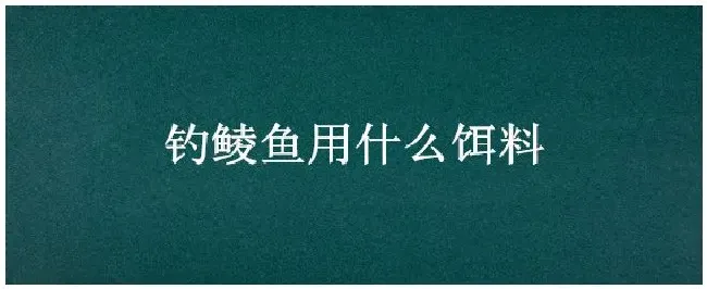 钓鲮鱼用什么饵料 | 农业问题