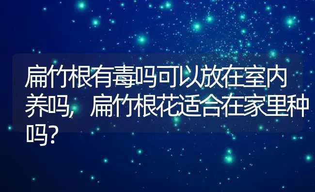 扁竹根有毒吗可以放在室内养吗,扁竹根花适合在家里种吗？ | 养殖常见问题