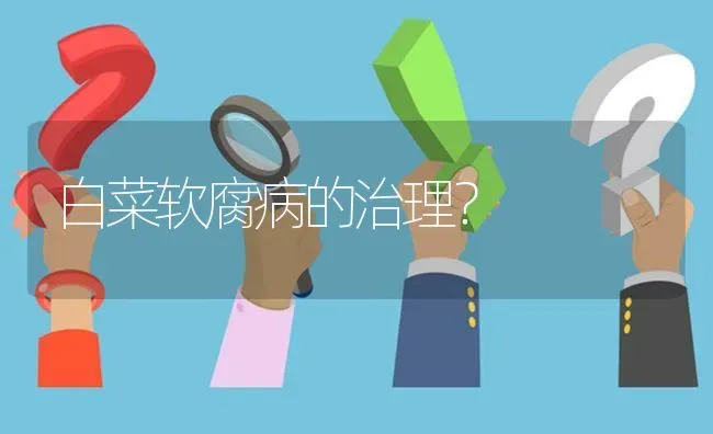 白菜软腐病的治理? | 养殖问题解答