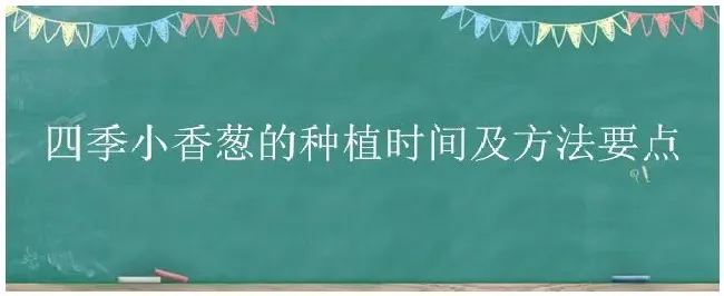 四季小香葱的种植时间及方法要点 | 三农答疑