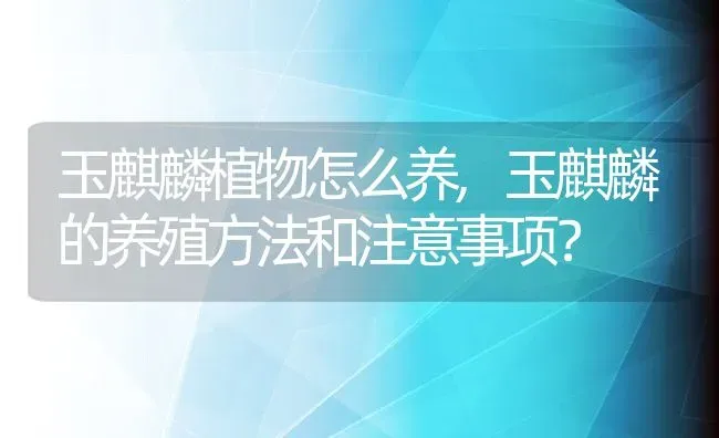 玉麒麟植物怎么养,玉麒麟的养殖方法和注意事项？ | 养殖常见问题