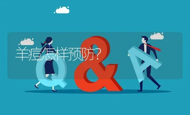 羊痘怎样预防? | 养殖问题解答