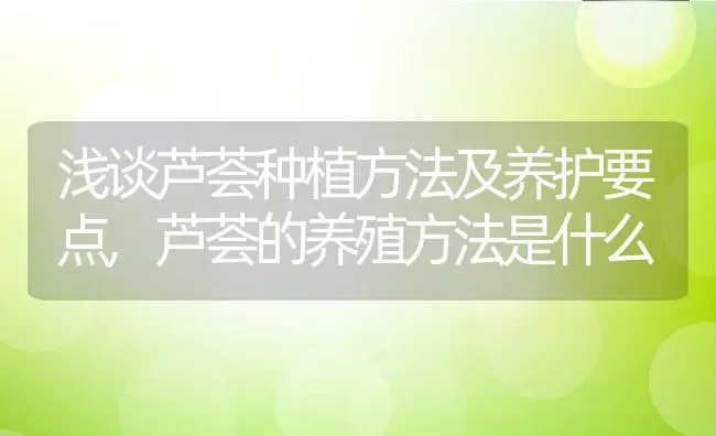 浅谈芦荟种植方法及养护要点,芦荟的养殖方法是什么 | 养殖常见问题