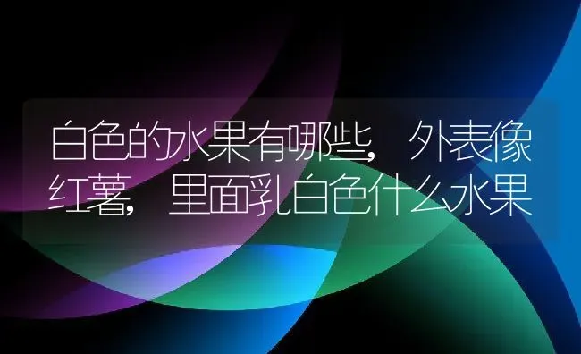 白色的水果有哪些,外表像红薯,里面乳白色什么水果 | 养殖常见问题