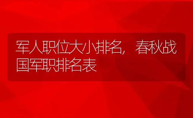 军人职位大小排名,春秋战国军职排名表 | 养殖常见问题