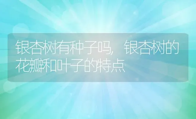 银杏树有种子吗,银杏树的花瓣和叶子的特点 | 养殖常见问题