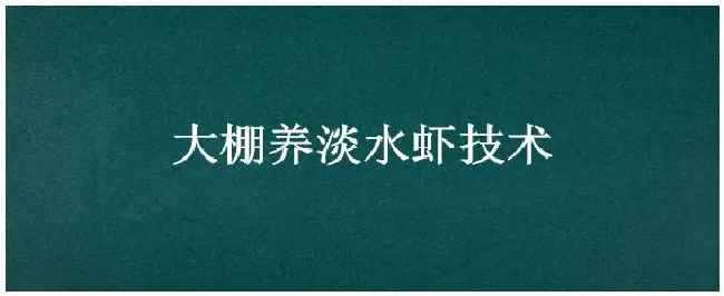 大棚养淡水虾技术 | 三农答疑