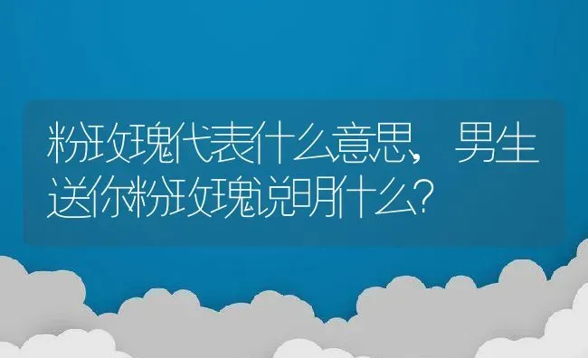 粉玫瑰代表什么意思,男生送你粉玫瑰说明什么？ | 养殖常见问题