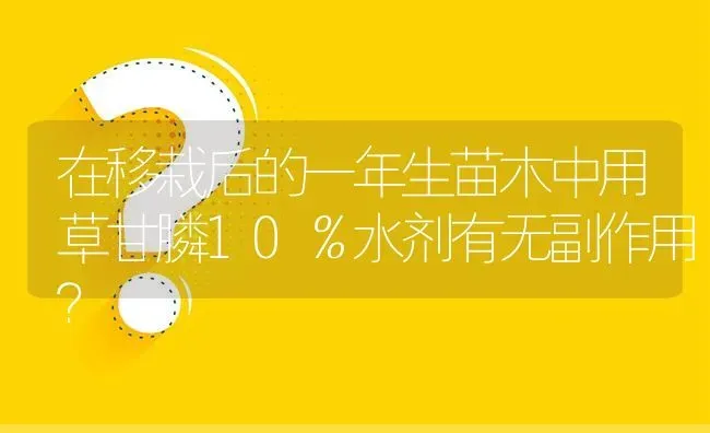 在移栽后的一年生苗木中用草甘膦10％水剂有无副作用? | 养殖问题解答