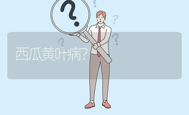 西瓜黄叶病? | 养殖问题解答