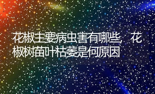 花椒主要病虫害有哪些,花椒树苗叶枯萎是何原因 | 养殖常见问题