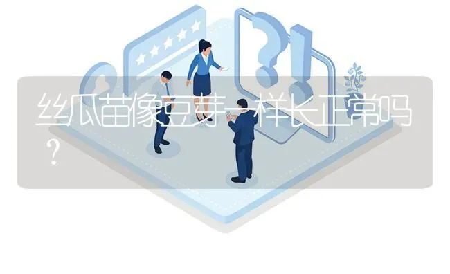 丝瓜苗像豆芽一样长正常吗? | 养殖问题解答