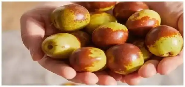 鲜枣蒸熟后怎么保存 | 农业问题