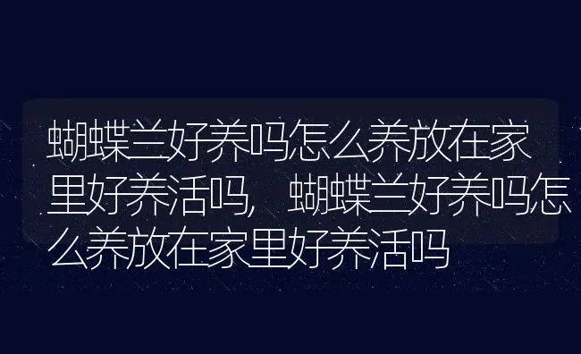 蝴蝶兰好养吗怎么养放在家里好养活吗,蝴蝶兰好养吗怎么养放在家里好养活吗 | 养殖常见问题