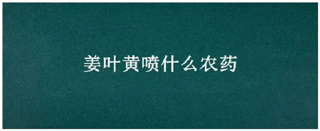 姜叶黄喷什么农药 | 农业答疑