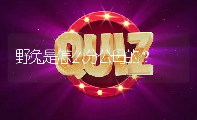 野兔是怎么分公母的? | 养殖问题解答