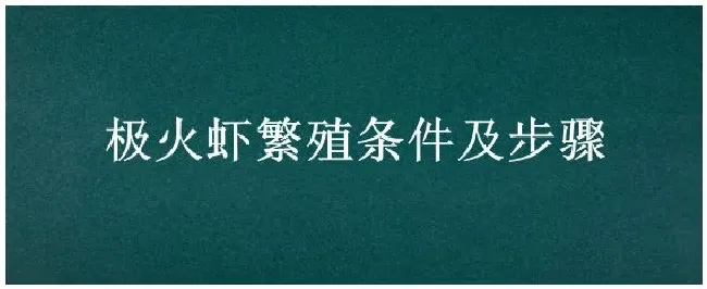 极火虾繁殖条件及步骤 | 三农答疑