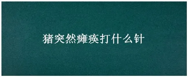 猪突然瘫痪打什么针 | 农业常识