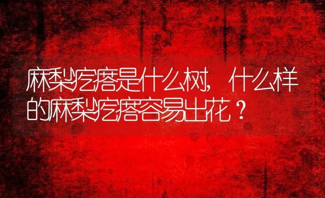 麻梨疙瘩是什么树,什么样的麻梨疙瘩容易出花？ | 养殖常见问题