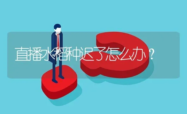 直播水稻种迟了怎么办? | 养殖问题解答