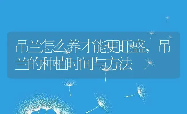 吊兰怎么养才能更旺盛,吊兰的种植时间与方法 | 养殖常见问题