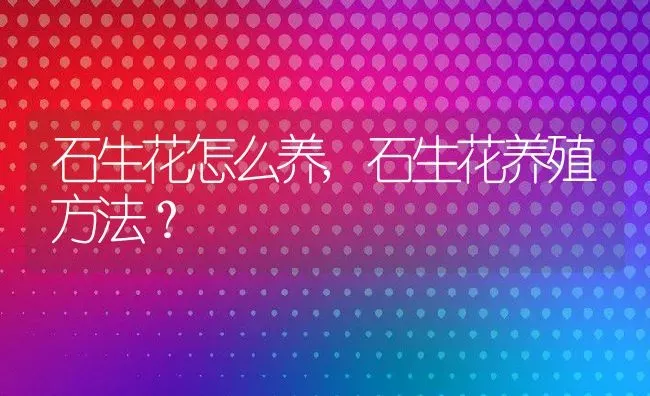 石生花怎么养,石生花养殖方法？ | 养殖常见问题