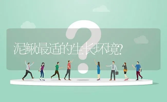 泥鳅最适的生长环境? | 养殖问题解答